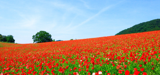 皆野町の外壁塗装・外壁工事の費用相場