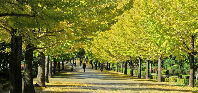 小鹿野町の外壁塗装・外壁工事の費用相場