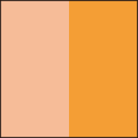 薄いオレンジ×濃いオレンジ